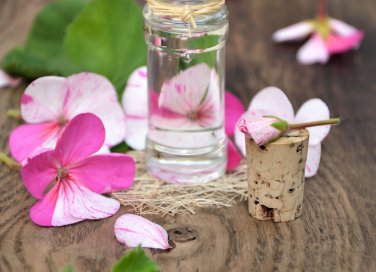 olio di geranio per un rimedio ECO