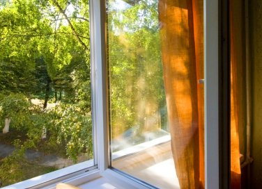 Liberati della muffa