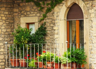 Un frutteto nel tuo terrazzo