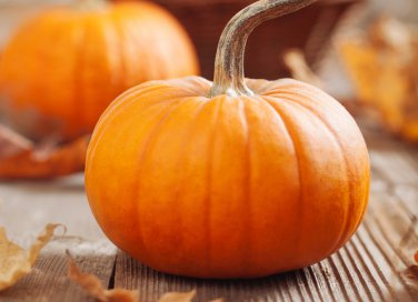 zucca-cucina-ricette