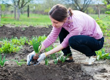Le piante facili da coltivare