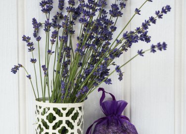 La lavanda per profumare la tua casa