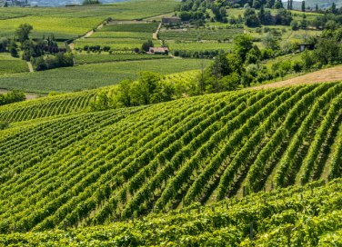 5 destinazioni da sogno in Italia per le tue vacanze a settembre