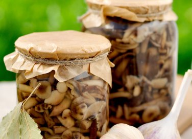 funghi chiodini conserva sale barattolo