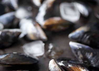 come pulire le cozze velocemente