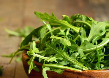 come coltivare la rucola