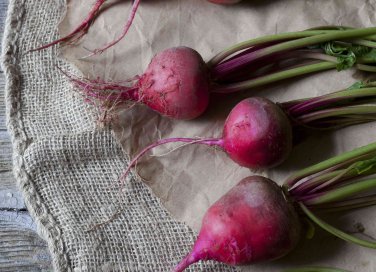 come coltivare le barbabietole