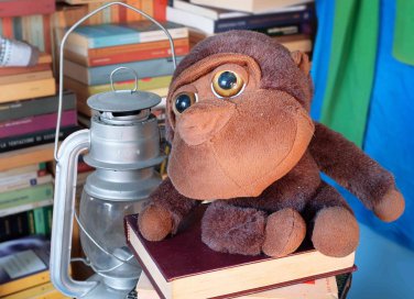 come organizzare la libreria di casa