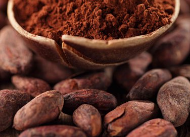 cacao proprietà