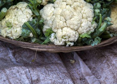 Come coltivare i cavolfiori