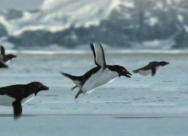Pesce d'aprile: i 5 scherzi più famosi