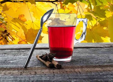 tisana zenzero e limone