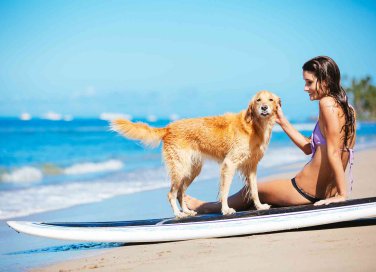 Si possono portare i cani in spiaggia e sulla battigia?