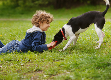 I bambini e la paura dei cani: come superarla