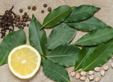 tisana alloro, rimedi naturali, indigestione