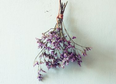 come essiccare fiori