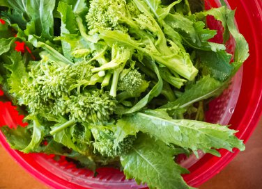 come pulire cime di rapa, ricette cime di rapa, cime di rapa, ricette