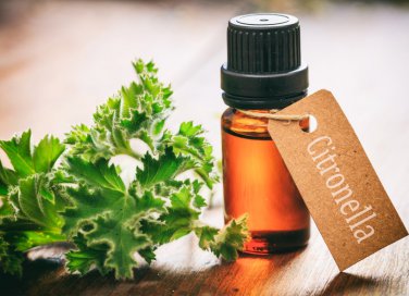 rimedi naturali, zanzare, repellenti verdi