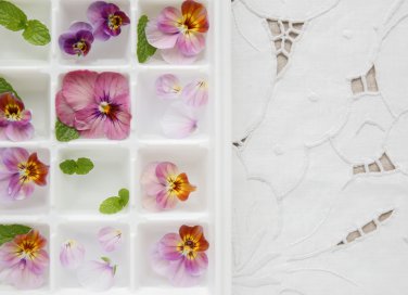 idee aperitivo estivo, cubetti ghiaccio fiori, cubetti ghiaccio frutta