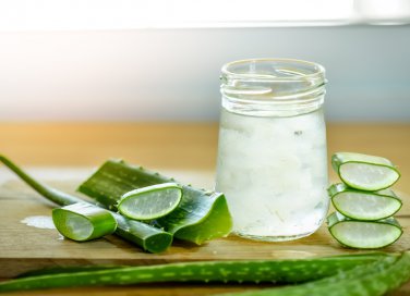 aloe vera, rimedi naturali, salute