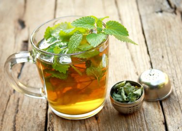 tisana alla melissa, rimedi naturali, proprietà benefiche