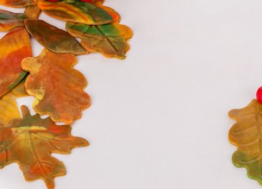 cake design autunno, foglie pasta zucchero