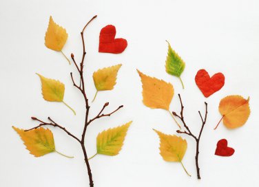 lavoretti foglie secche, lavoretti autunno bambini