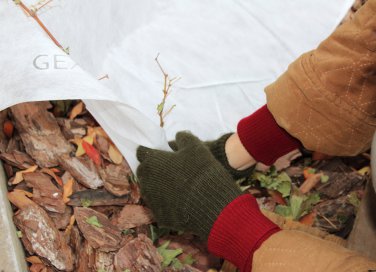 proteggere piante dal freddo, proteggere radici dal freddo, giardinaggio d’inverno