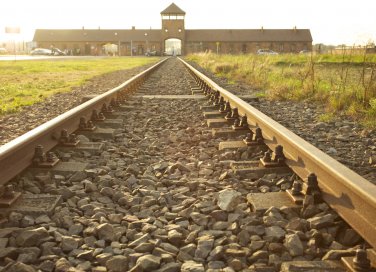 giornata della memoria frasi, 27 gennaio frasi, giorno della memoria frasi, shoah frasi