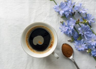 caffè di cicoria, proprietà benefiche, come si prepara