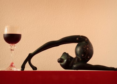 drunk yoga, tendenza fitness, yoga vino