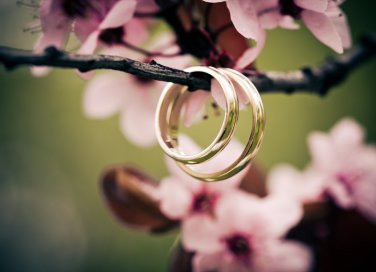matrimonio, fedi, fiori di arancio
