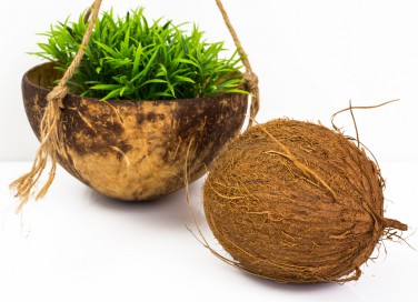 riciclare gusci noci di cocco, lavoretti con noce di cocco, utilizzare gusci noci