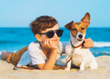 cane al mare, consigli, benessere