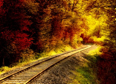 treno foliage 2018, treno foliage percorso, treno foliage date
