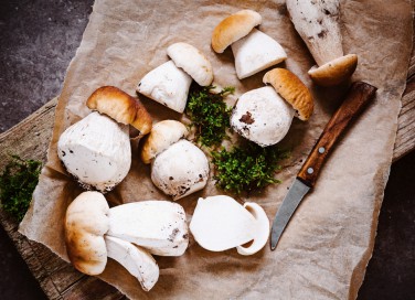 pulire funghi porcini