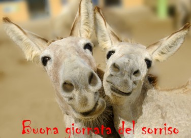 giornata mondiale del sorriso, immagini divertenti