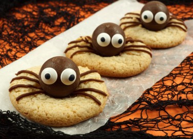 biscotti, halloween, ragno