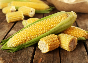 cucina, pannocchie, mais