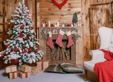 albero di Natale, bianco, rosso