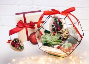 cosa regalare a natale, cosa regalare a chi ama giardinaggio, idee regalo per chi ama i fiori