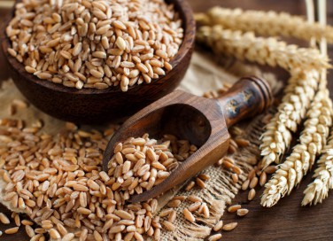 farro, cucina, praparazione