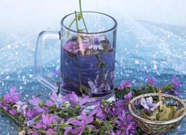 tisana alla malva, mal di stomaco, rimedi naturali