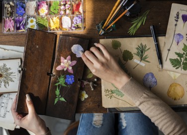 come pressare fiori, come pressare foglie