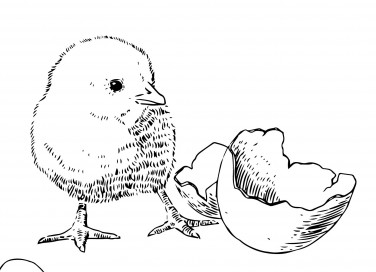 sagoma pulcino pasquale, sagoma pulcino pasqua, lavoretti pasqua