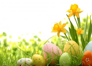 frasi pasqua, citazioni pasqua, auguri pasqua
