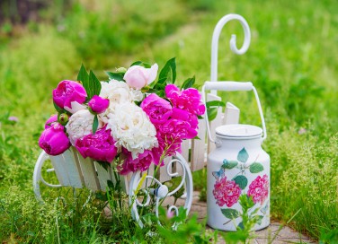 decoupage giardino, idee decoupage, idee giardino