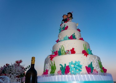torte matrimonio tema mare, torte tema mare, torte matrimonio tema marino