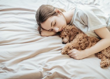 cane che trema, cause, veterinario