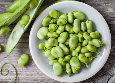 fave fresche, come cucinarle, ricette